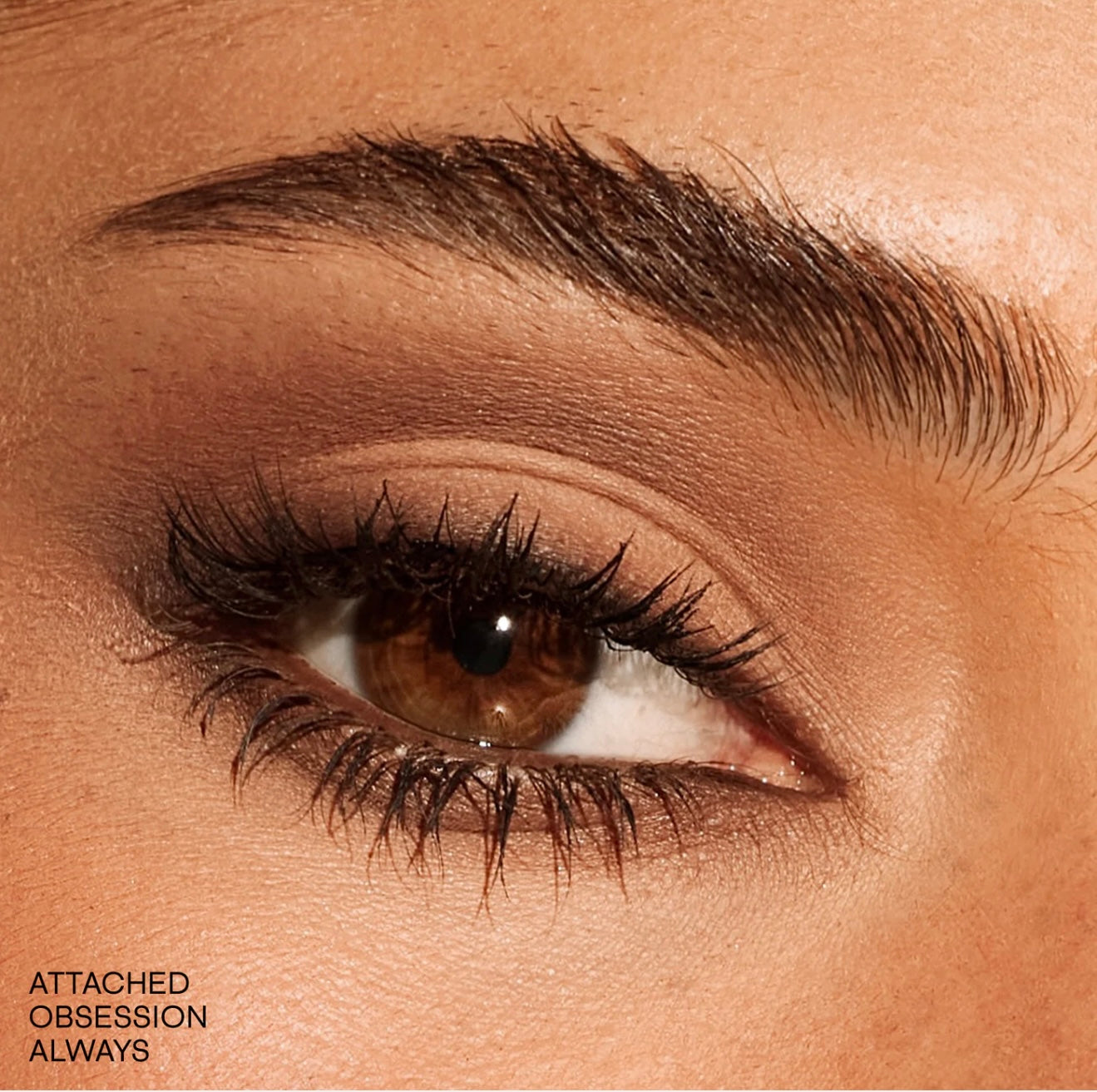 Major Dimension Essential Artistry Edit Eyeshadow Palette - Medium